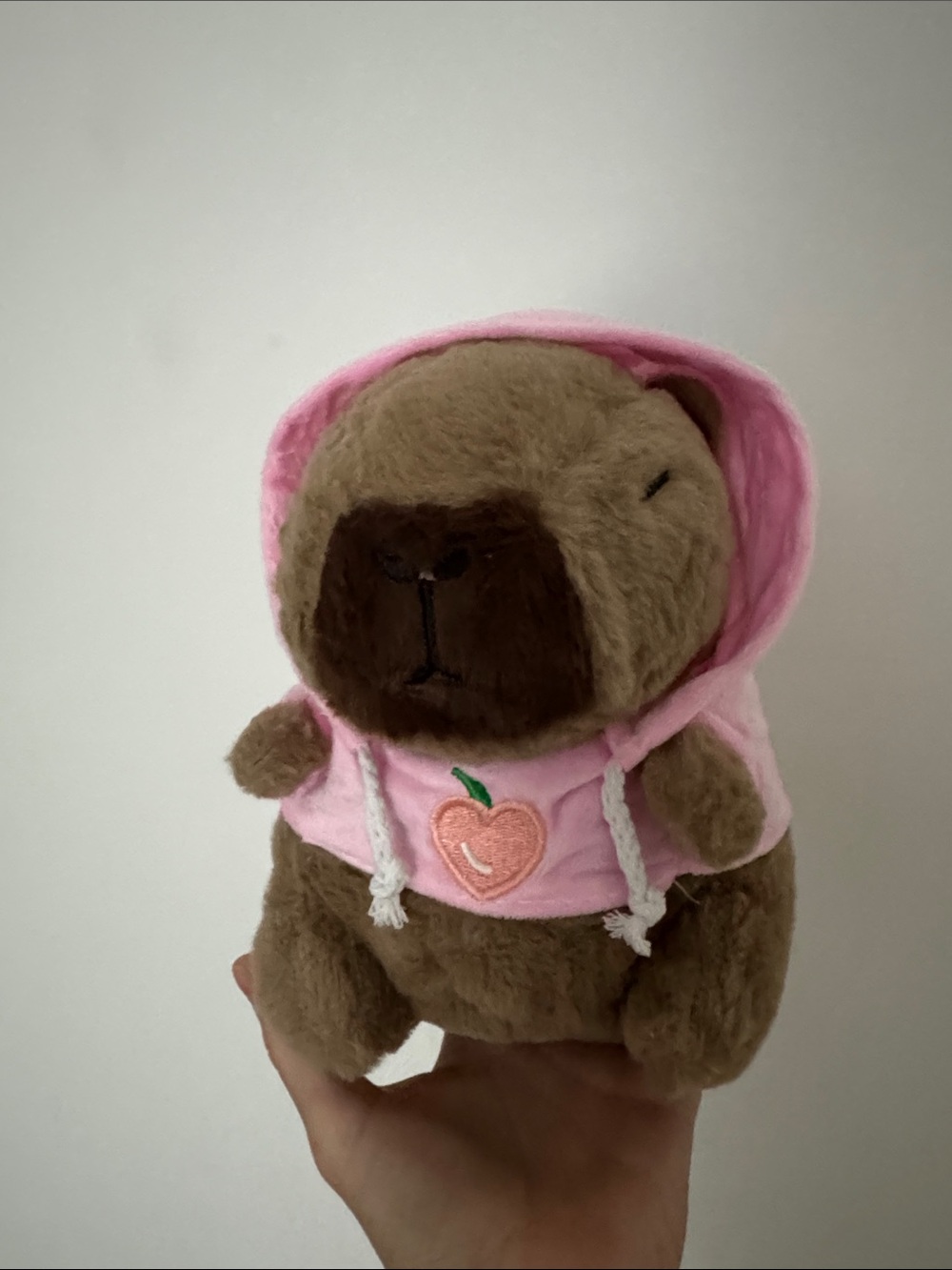 Capybara Plush Toy in light pink Hooded Sweater 22 cm